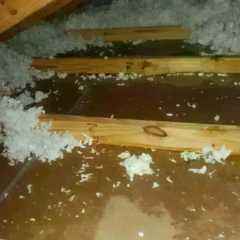 Attic Water Damage in Woodmere, LA