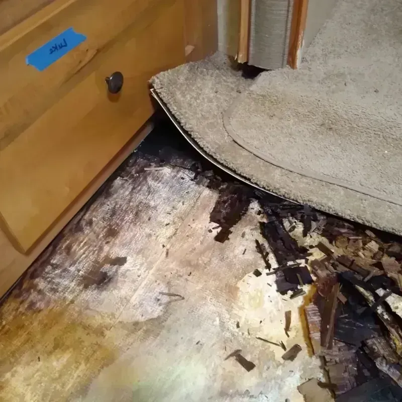 Wood Floor Water Damage in Woodmere, LA